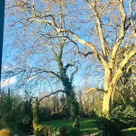 Sejournez Dans Un Chateau A Langon Lägenhet *